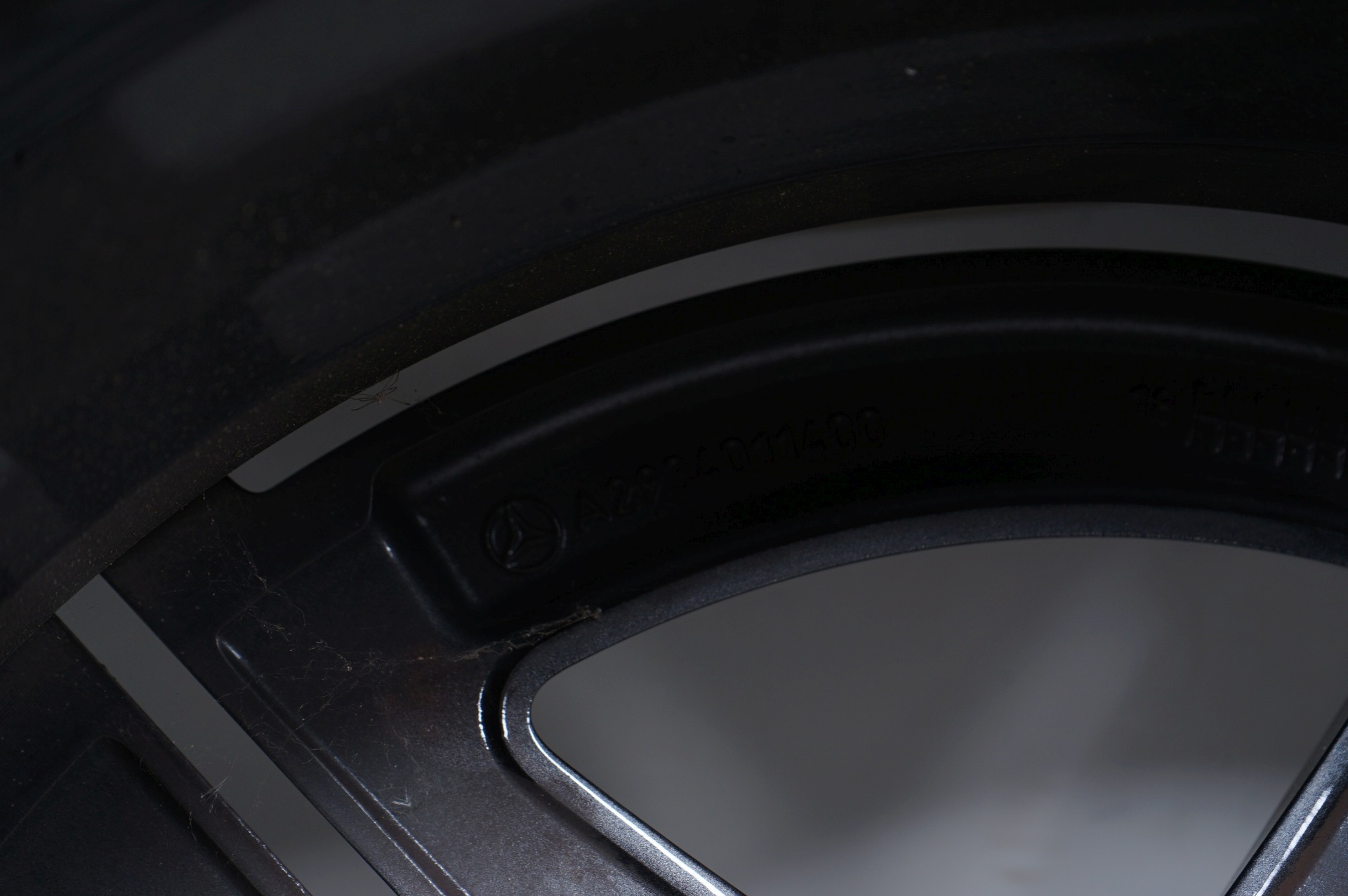 resized231.jpg
